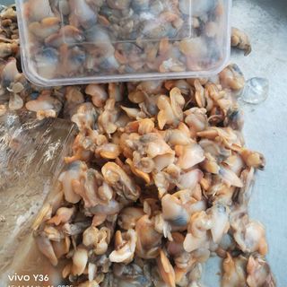 Thịt ruột sò long tươi câp đông - Hộp 500gr (giao hoả tốc)