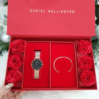 SET DANIEL LỄ HỘI HỘP HOA HỒNG ĐỎ LƯỚI PETITE VÀ CUFF