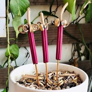 NHANG NỞ HOA PHÚ QUÝ TÀI LỘC