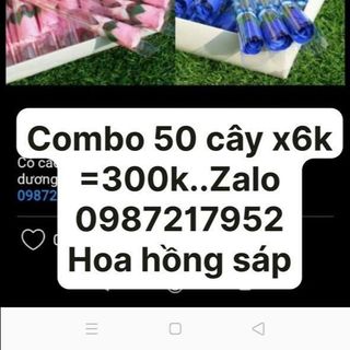 Bông sáp hoa hồng sáp hoa sáp