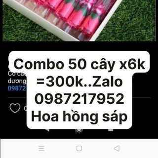 Sỉ hoa hồng sáp bông sáp bông hồng