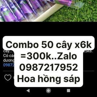 Sỉ hoa hồng sáp bông sáp bông hồng