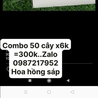 Sỉ hoa sáp bông hồng sáp hoa hồng sáp rẻ