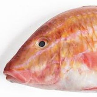 Cá phèn đổng biển – đặc sản miền Trung – giá rẻ hơn siêu thị, giao nhanh 2h