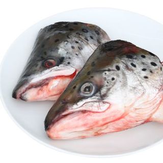 Đầu Cá Hồi
