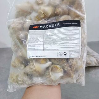 Ốc BULOT sạch không cát 20-30con kg (giao tphcm) bịch 1kg y hình