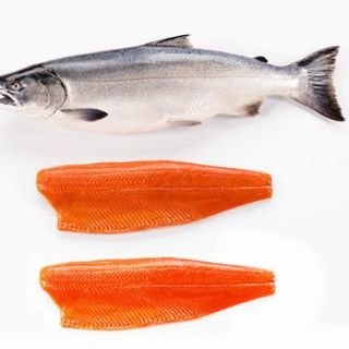 Cá Hồi Nguyên Con