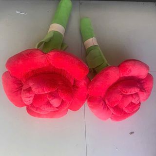 Cây Hoa Hồng ( 60cm: 99k, 80cm: 115k)