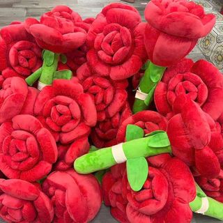 Cây Hoa Hồng ( 60cm: 99k, 80cm: 115k)