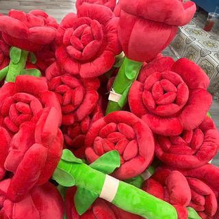 Cây Hoa Hồng ( 60cm: 99k, 80cm: 115k)