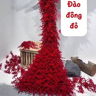 set 50 cành đào đông rời