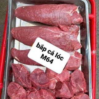 Bắp Cá Lóc MS64