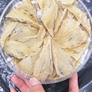 Chân to yến việt