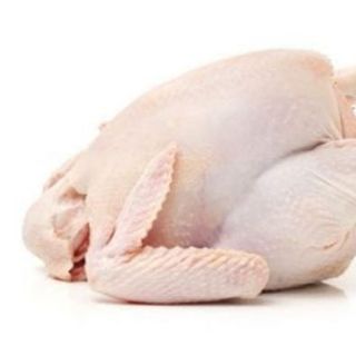 Gà Dai Hàn Quốc