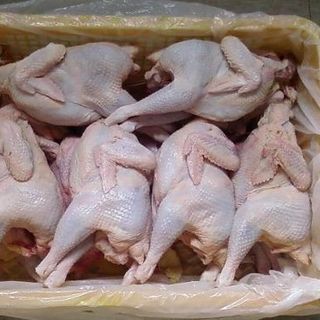 Gà Dai Hàn Quốc