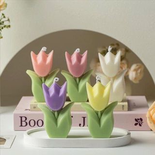 NẾN THƠM HOA TULIP