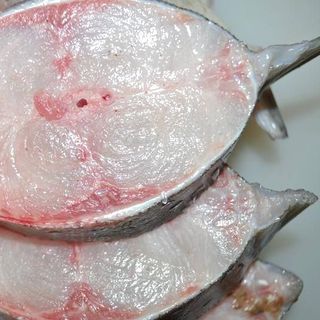 Cá bớp biển – đặc sản miền Trung, chuẩn vị quê nhà, giá tận vựa - Khúc giữa