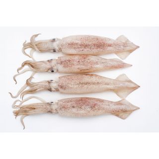 Mực cơm tươi ngon loại nhỏ – giá rẻ hơn siêu thị – freeship từ 2kg