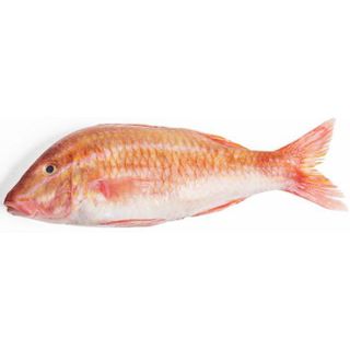 Cá phèn đổng biển – đặc sản miền Trung – giá rẻ hơn siêu thị, giao nhanh 2h