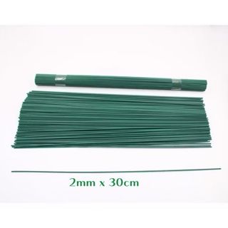 100 QUE KẼM CÀNH 30CM LÀM HOA 0902 - LADY'S PASSION