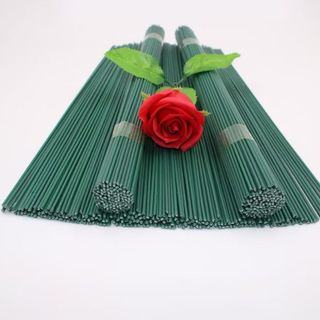 100 QUE KẼM CÀNH 30CM LÀM HOA 0902 - LADY'S PASSION