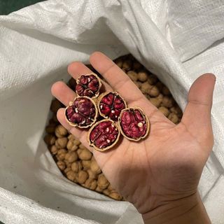 QUẢ ÓC CHÓ ĐỎ MỸ – HẠT DINH DƯỠNG CAO CẤP, TỐT CHO TIM MẠCH & NÃO BỘ