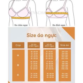 Áo ngực trơn không gọng Nevy NEVY 935 đệm mỏng không mút