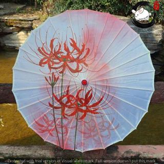 Ô DÙ CỔ TRANG NGHỆ THUẬT