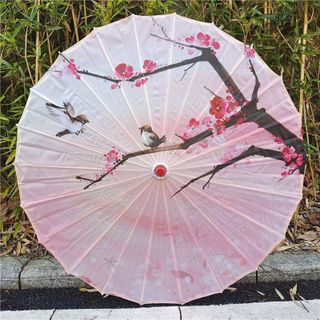 Ô DÙ CỔ TRANG NGHỆ THUẬT