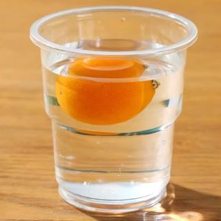 Cốc nhựa dùng một lần 170ml cốc uống nước bằng nhựa dày cho quán ăn nhà hàng an toàn L0252