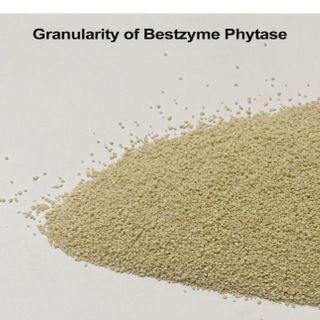 PHOSGEN HT (PHYTASE 10.000UI)