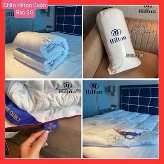 Ruột Chăn Hilton Siêu nhẹ