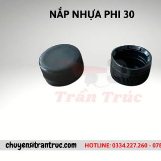 Nắp Nhựa Phi 30