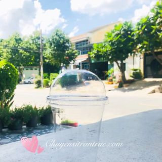 Ly nhựa pet 500ml nắp cầu