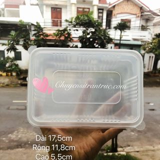 Hộp pp đựng thực phẩm