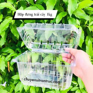 Hộp nhựa đựng trái cây 1 kg P1000B