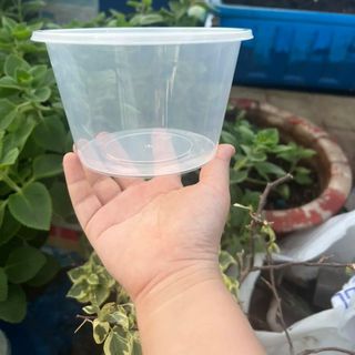 Hộp nhựa tròn Microwave 550ml | Thố Đựng Hủ tiếu Phở giá rẻ
