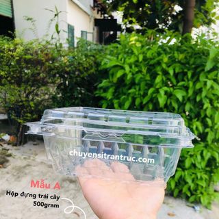 Hộp nhựa đựng trái cây 500gram P500D P500C