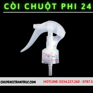 Còi chuột phi 24