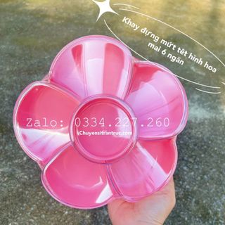 Khay hoa mai 6 ngăn màu hồng