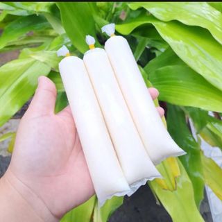 1kg Túi làm sữa chua, kem size 4x12