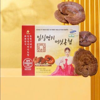 Nấm linh chi imsim