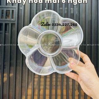 Khay hoa mai 6 ngăn màu trong