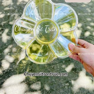 Khay hoa mai 6 ngăn màu vàng