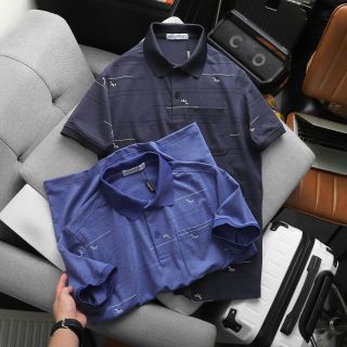 ÁO THUN CỔ BẺ PACK GEM CHẤT COTTON MUỐI CO GIÃN 4 CHIỀU P347 - LADY'S PASSION