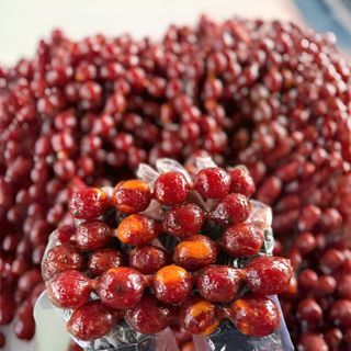 LẠP XƯỞNG TÔM (CAI LẬY)