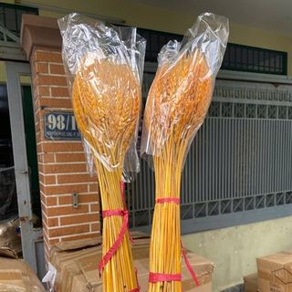 Bó bông lúa mạch khô dùng để trang trí chiêu tài lộc và may mắn