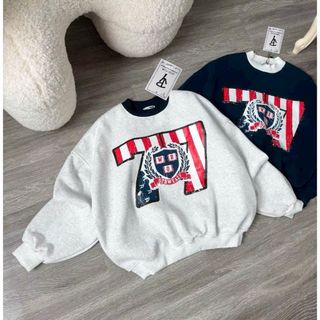 Áo SWETER In Nhiệt Cờ Số 77