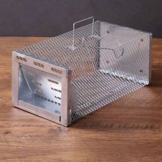 Bẫy chuột 1 cửa