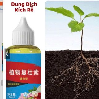 Dung dịch kích rễ